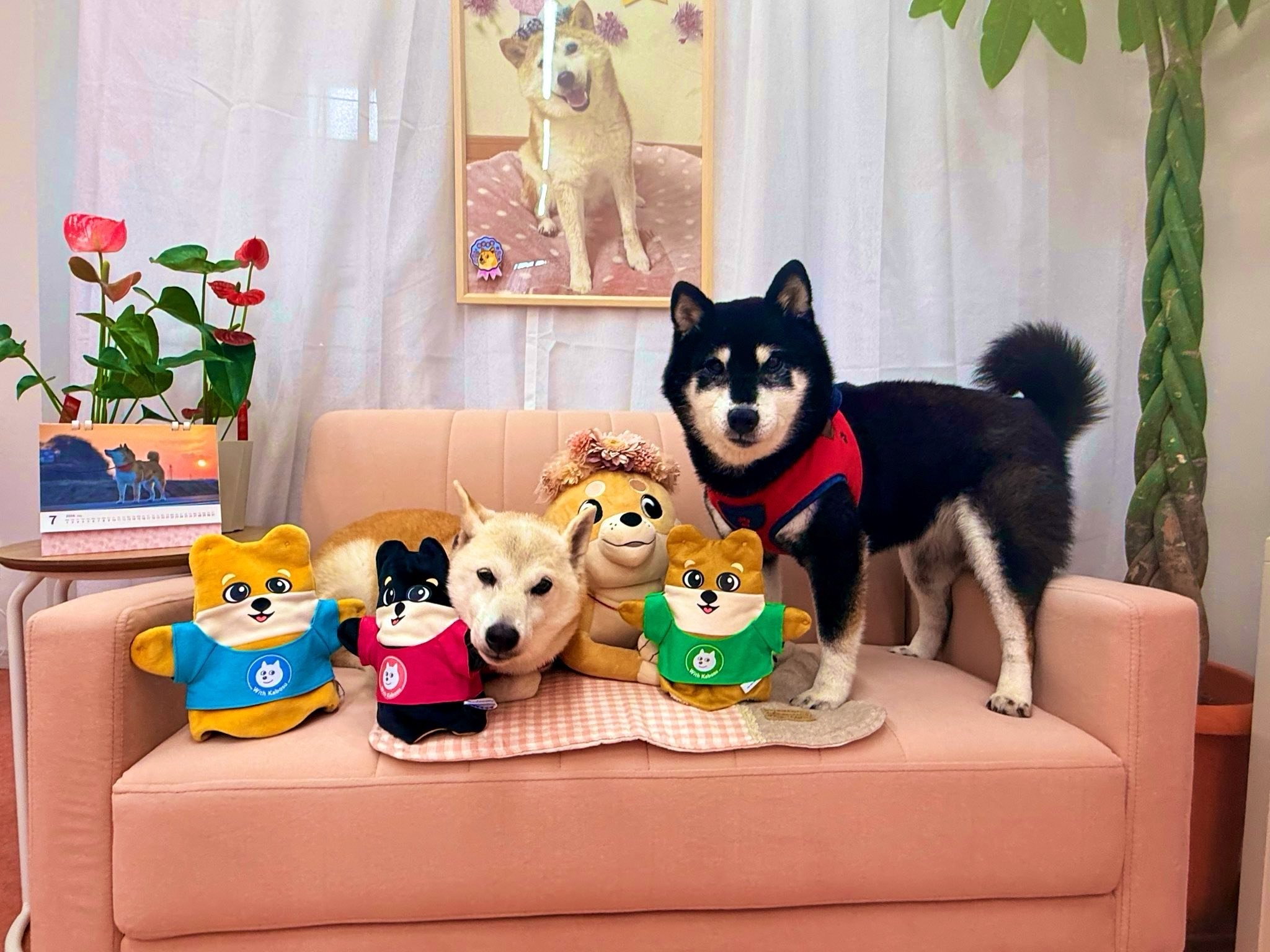 Neiro and Cocoro with all three Shibu puppets